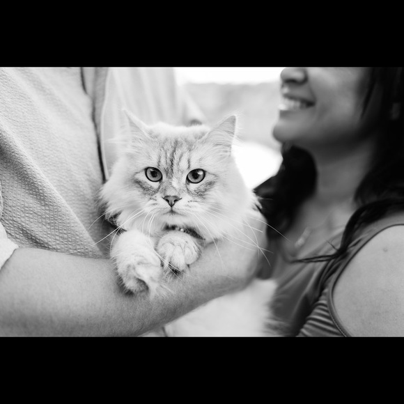 Meet your Posher, Christine - Picture 1 of 1